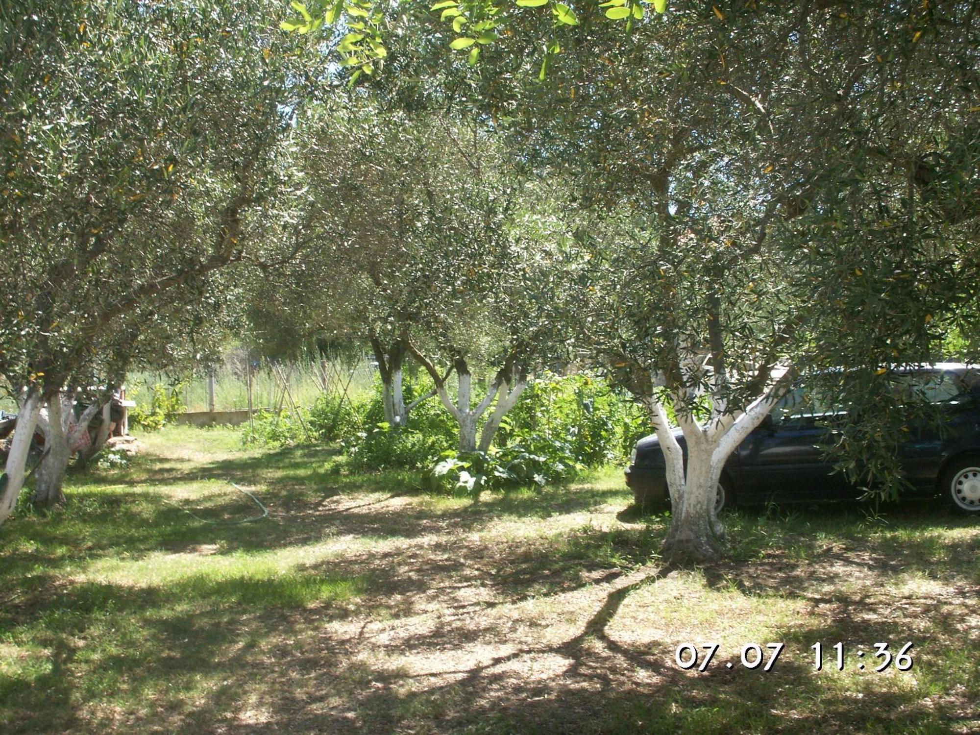 דירות טורוני House Souzanna מראה חיצוני תמונה