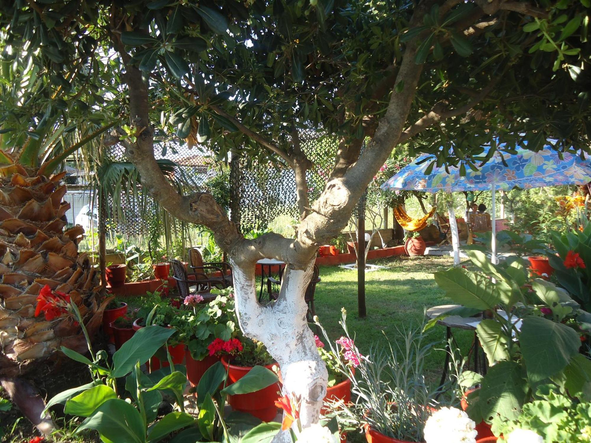 דירות טורוני House Souzanna מראה חיצוני תמונה