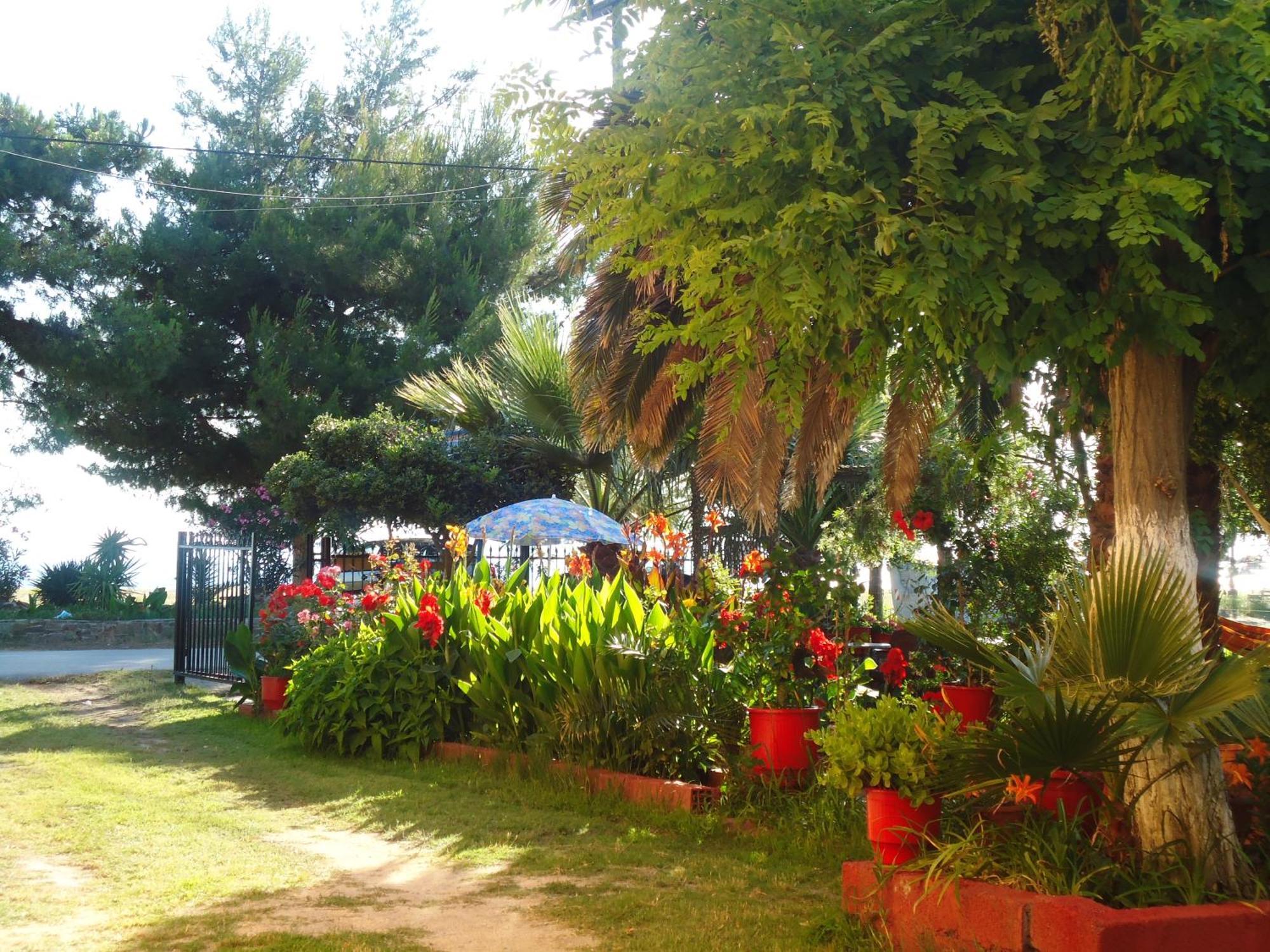 דירות טורוני House Souzanna מראה חיצוני תמונה