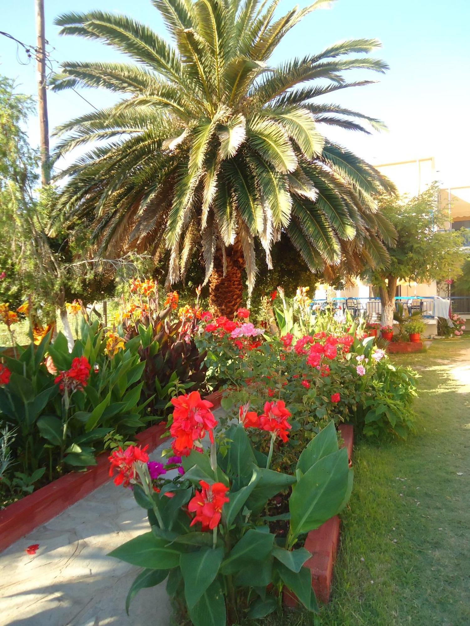 דירות טורוני House Souzanna מראה חיצוני תמונה