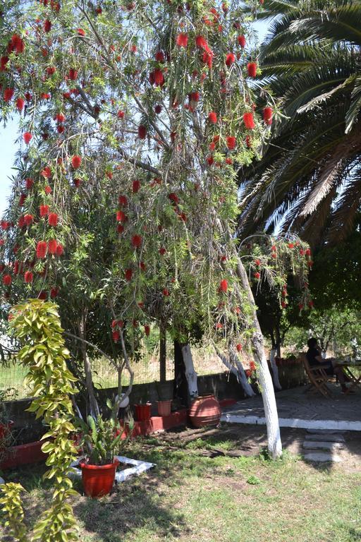 דירות טורוני House Souzanna מראה חיצוני תמונה
